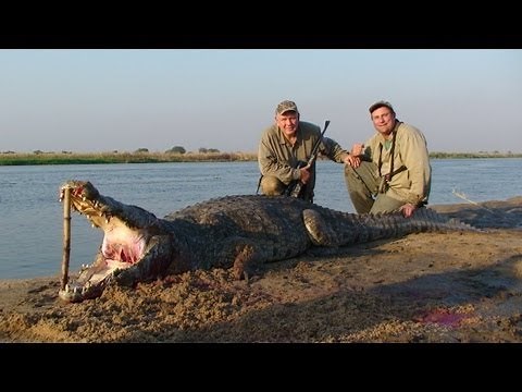 Hunting Nile Crocodiles in Mozambique