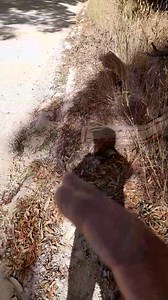 We need big change in this State. | Peter Manuel - FLAG Australia