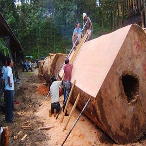 292K views · 1K reactions | Extreme Fastest Wood Sawmill Machines Working - Incredible Wood Cutting Machine Modern #MachineTechnologyNEO #SuperFastWorker | Woodworking Tricks | Facebook