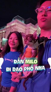 dẫn Milo đi chơi vì Milo quá giỏi #foryou #couple #love #ongthibalong | panda