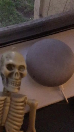 The Skeleton Channel on TikTok