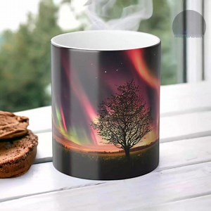 Aurora Borealis & Australis on Reels
