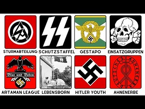 Every Nazi Organization Explained By a German
