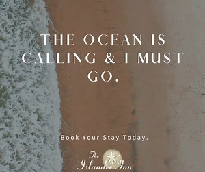 Are you looking to book romantic getaway? We have ocean view rooms ready to accommodate you. | The Islander Inn - Ocean Isle Beach, NC | Facebook
