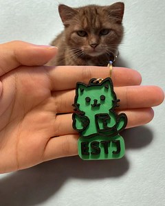 ESTJ | MBTI Personality Cat Keychains - Find Your Purr-fect Match! | STL File - Etsy UK