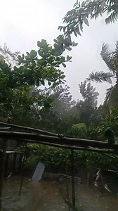 Signal no.4 Bagyong marce update November 7, 2024 4pm Aparri cagayan , tumigil kana please😢 #BagyongMarce #MarcePH #typhoonmarce #CagayanValley | Par Par