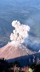 Eruption of volcano 🌋 Santiaguito in Guatemala 🇬🇹 🎥 @joel.mendoza_gt #geology #science #guatemala #travel #volcanes #earth #nature #earth #magma #lava | Geology Science Official