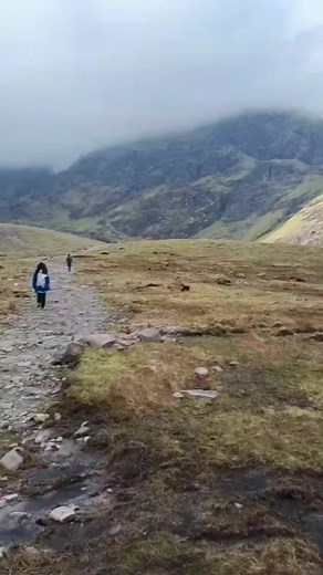 #CarrauntoohilLiveWebCam as we head for The Devils Ladder with todays #upforit crew 🙌 . Stay tuned for more updates....let's see if the cloud lifts from the top. . #kerryclimbing #experiencetheadventure #EarnTheBadge #guidedhikes #hikewithus #carrauntoohil #MacGillycuddysReeks | Kerry Climbing