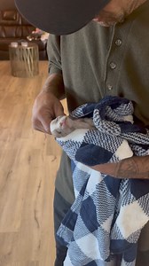 3.3K views · 274 reactions | The little Cleft Palate Frenchy is holding strong. His cleft palate is huge. If anybody would like to send in a donation towards his formula, baby wipes, pee pads, tubes, syringes, etc. here is the link > https://www.joshandhiscritters.org/donate ￼ as we continue to take multiple underdogs please share ps I have a full update on Oso that I will be posting in one hour. ❤️ | Josh and his critters | Facebook