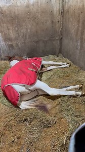 7.1K views · 29 reactions | EC Video of the Day - Turn Up the Volume...