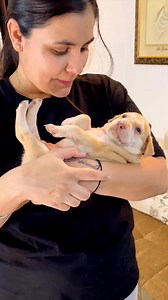 30K views · 2.2K reactions | Isko sab se matlab rakhna hai #puppy #puppies #puppylove #puppylovers #puppylife #dogmother #dogmom #dog #dogs #dogfood #doglife #doglover #doglovers #supportus #blessings #love #reels #viral #instareels #insta #instagram #fb #fbreels #fbreelsvideo #fbreelsfypシ゚viral | Bezubaanjaan1517 | Facebook