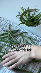 Papujen ystäviä paikalla? 💚⁠ ⁠ Miten sinä käytät vihreitä papuja? ⁠ ⁠ Tilaa itsellesi Satokausikalenteri®, niin saat paljon vinkkejä kasvisten käytöstä, sekä reseptejä! Kalenterit ovat helposti tilattavissa osoitteesta satokausi.fi. | Satokausikalenteri