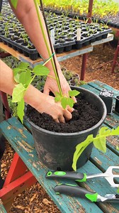 🌿 Garden jobs? Consider them done! From planting to watering to weeding - see our range of garden tools in action 🌱 #DraperTools #Gardening #SummerGarden #HandTools | Draper Tools