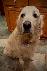 A crab for Dis Bubba…? Really favorite Mother of all times, you’re really giving Dis Bubba a whole 🦀? | Along Came Polly, Rosie and Bubba