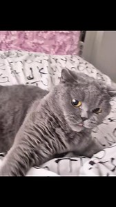 patenti babamlan bana ait olan "üsdden geliyo alddan geliyo" adlı oyunu oynuyos... çok gomplike bi oyun, üsdden geliyo diyib alddan gelersen yanıyosun, alddan geliyo diyib üsdden gelersen de tekrar zar atıyosun ama oyunda zar olmadığı için atamıyosun | Küba