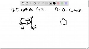 SOLVED:The fructose in honey is mainly in the β-D-pyranose form. This is one of the sweetest carbohydrates known, about twice as sweet as glucose; the β-D-furanose form of fructose is much less sweet. The sweetness of honey gradually decreases at a high temperature. Also, high-fructose corn syrup (a commercial product in which much of the glucose in corn syrup is converted to fructose) is used for sweetening cold but not hot drinks. What chemical property of fructose could account for both these