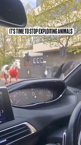 216K views · 3.3K reactions | Horses are not vehicles  They belong in a sanctuary, not the streets of London. | Chase Avior | Facebook
