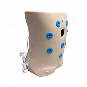 [Hot Item] Sy-Ns03 Endoscopic Operation Simulator with USB Camera Training Modules Medical School Laparoscopic Box Trainer