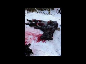 The Grey (2012) - Shots from Alternate Fight Ending Scene & Slow Motion