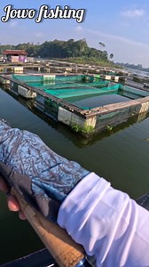 Toman fishing #fishing #fyp #viral #pesca #foryou | Jowo fishing
