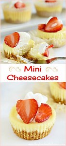 Mini Graham Cracker Crust Pie Recipes