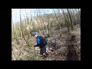 doggers in the woods