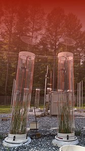 It’s #ClimateWeekNYC, and coastal wetlands are having a hot moment....