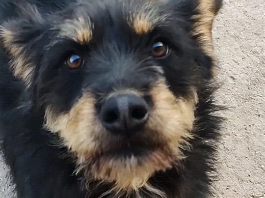 你看什么！又想搞什么事情