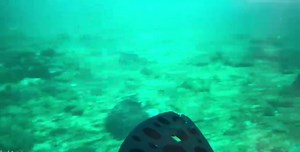 3K views · 47 reactions | Adjunto video captado por el equipo "Remotely Operated Underwater Vehicle" durante la búsqueda de la avioneta perdida el 4 de agosto entre Culebra y St. Thomas. Departamento de Seguridad Pública de Puerto Rico La Fortaleza de PR | Negociado para el Manejo de Emergencias y Administración de Desastres-NMEAD | Facebook