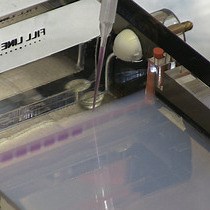 Enhanced DamID-seq Method for Genomic | JoVE Journal