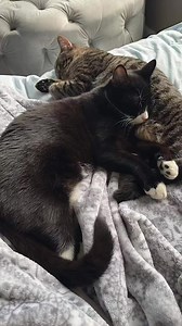 4.5K views · 42 reactions | Can you even believe this guy? Little...