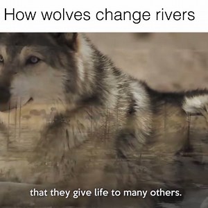 970K views · 13K reactions | Nature is amazing | VT | Facebook