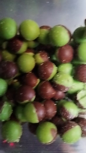 🐍💚🟩☘️🇮🇪 #snakemilkshake | Slice Wood Fire Pizza