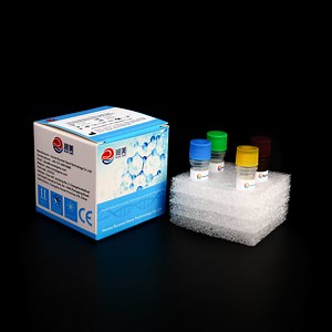 [Hot Item] Ivd Reagents Asfv Detection Kit African Swine Fever Virus DNA Detection Kit