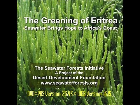 Greening of Eritrea 17 Min