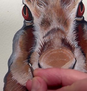 Sam Cannon Art on Reels