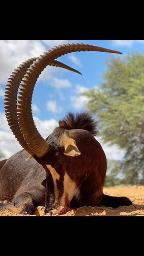 #optics #ontargetunderbudget | LUCID Optics | Facebook