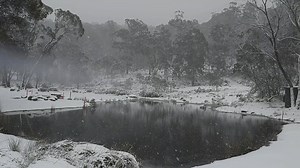 13K views · 355 reactions | SNOW!! ❄❄❄ Roads conditions: The road is closed but we're clearing the road. 4X4 wheel drives and cars with chains will be shortly be allowed to drive up. Times will be pushed back, lessons and sessions will still run the same duration. Thanks, Corin Forest Team | Corin Forest | Facebook