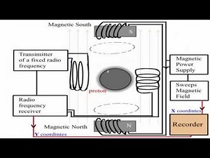 Simple explanation of the Proton NMR Spectrometer.