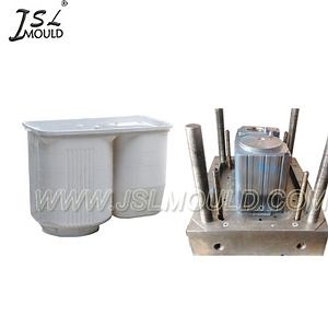 [Hot Item] OEM Custom Made Plastic Twin Tub Washing Machine Mould
