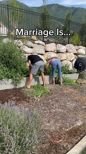 47K views · 3 comments | “Most people are going to have two or three...