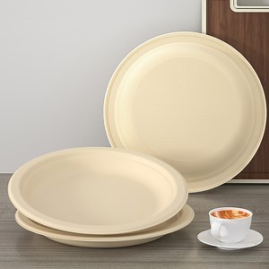 [Hot Item] High Quality Recyclable Disposable Disc Customizable Party Paper Trays for Restaurant