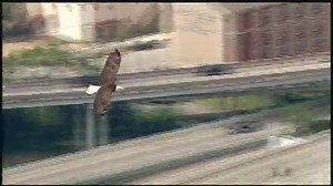 224 reactions · 126 shares | Checkout what we found cruising the skies over Houston today. | Greg Hurst | Facebook