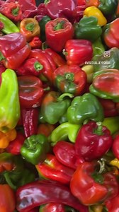 Cannot wait for spring mornings like this at Maple Acres Farm 🍯💐 | Visit Valley Forge & Montco