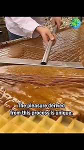 1.7K views | The classic way of separating cream from milk | Literary Quotes | Facebook