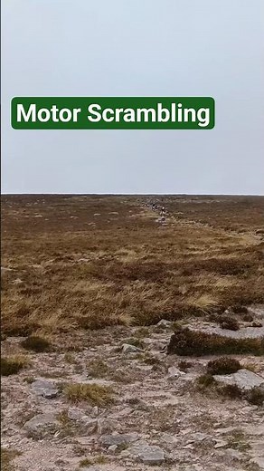 RAMBLING ON SLIEVENAMON MOUNTAIN. CO. TIPPERARY. Co. of champions 💪,# Irish Mountains# Co.Tipp🏆