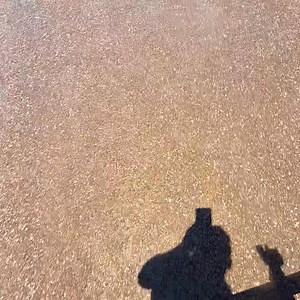 Fog sealing over asphalt / Chip seal for a coat that is resistant to weather conditions | Tom Hurt