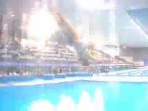 China Olympic - she dive and opps...