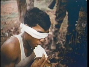 FIRST INFANTRY DIVISION IN VIETNAM