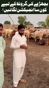 175K views · 5.7K reactions | Bachray Ki Growth Ke Liye Kon Sa...